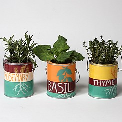 Can-It Herb Planters